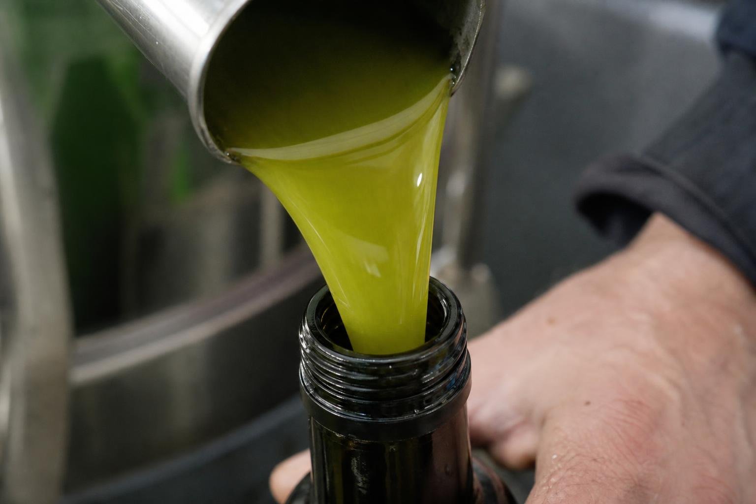 extreme close-up macro of freshly pressed green-gold Tuscan olive oil being poured into a dark glass bottle, slight cloudiness from unfiltered olio nuovo, hands at edge of frame, soft frantoio press setting in background, candid documentary light